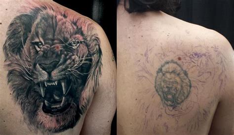 Realistic Growling Lion Cover Up Tattoo Design Best
