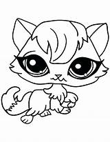 Coloring Pages Big Cute Eyes Animals Cat Animal Eyed Cats Pet Printable Female Drawing Kids Color Girls Eye Sheets Dolls sketch template