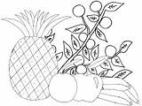 Frutas Colorir Desenhos Risco Riscos Prato Fruta Legumes Infantis sketch template