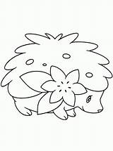 Coloring Pages Shaymin Pokemon Sky Draw Popular Step Related Coloringhome sketch template