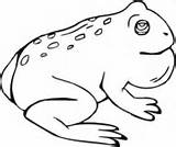 Toad Coloring Pages Toads sketch template