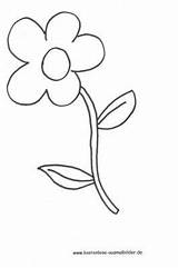Blume Ausmalen Ausmalbild Kostenlose sketch template