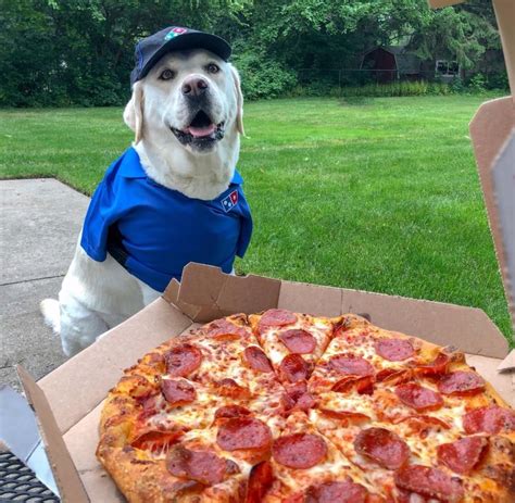 dominos        order  pizza     instagram rdogswithjobs