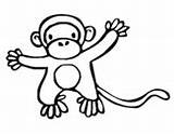 Monkey Coloring Circus Coloringcrew sketch template