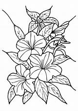 Hibiscus Bunga Ausmalbilder Raya Dxf Coloriage ähnliche sketch template