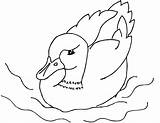Duck K5 Worksheets Duckling sketch template