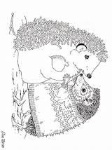 Coloring Brett Jan Pages January Hedgies Printable Hedgehog Colouring Visit Janbrett Sheets sketch template