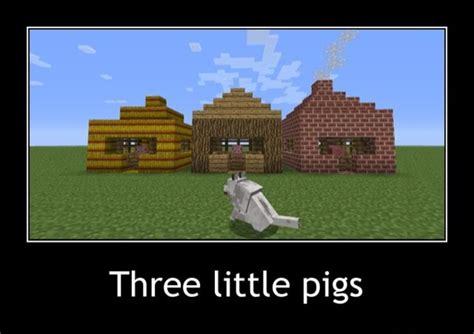 pigs   pigs