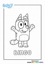 Bingo Bluey sketch template