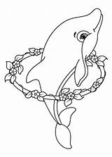 Delfini Pianetabambini Diretta Possibile Alternativa Offerte Utilizzare Funzioni Inoltre Ricordiamo Uso sketch template