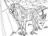 Appaloosa Animaux Coloriages Adultes Dessins sketch template