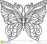 Butterfly Outline Drawing Coloring Template Pages Patterns Paper Butterflies Beautiful Quilling Designs Pattern Dreamstime Stock Whimsical Mandala Getdrawings Zenspiration Sketch sketch template