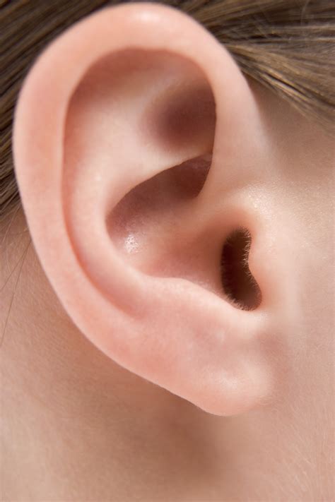 structure   ear  responsible  hearing healthfully