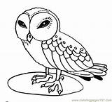 Coloring Pages Owl Printable Choose Board Wise Little sketch template