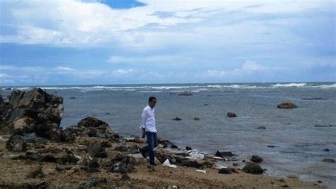 tepis foto pencitraan arya sinulingga  pak jokowi