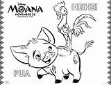 Coloring Moana Heihei Pua Disney Click sketch template