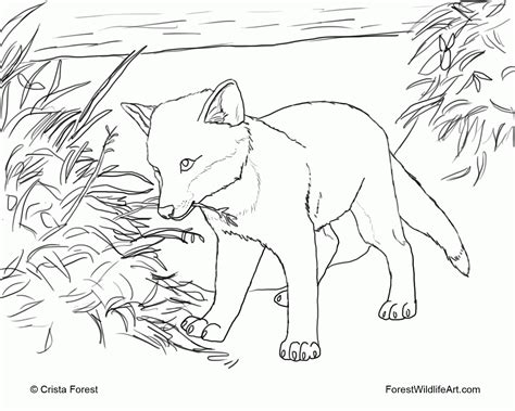 cute baby fox coloring pages coloring home