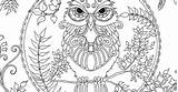 Enchanted Owl Forest Coloring Adult sketch template