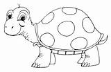 Animali Tartaruga Coloradisegni Stampare Sugli sketch template