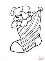 Coloring Christmas Pages Stocking Puppy Dog Cute Animal Printable Puppies Kids Dogs Color Sheets Pattern December Stockings Drawing Print Clipart sketch template