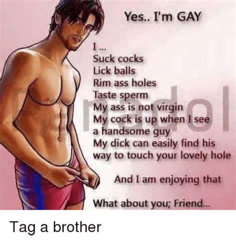 Yes I M Gay Suck Cocks Lick Balls Rim Ass Holes Taste