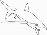 Sharks Requin Kolorowanki Rekin Tubarão Rekiny Coloriage Ballena Pintar Tiburon Animais Kolorowanka Tubarao Wydrukowania sketch template