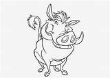 Warthog Coloring Pages Chimchar Color Kids Getcolorings sketch template