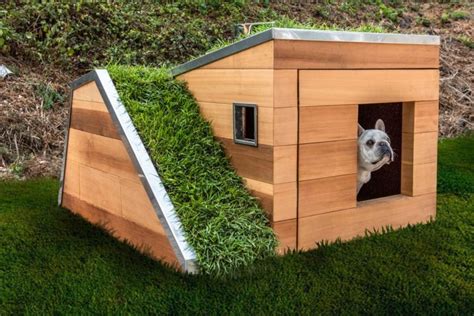 designer dog house puts   dog houses  shame curbed