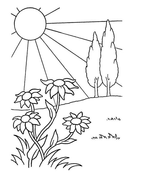 spring coloring pages google search  images spring