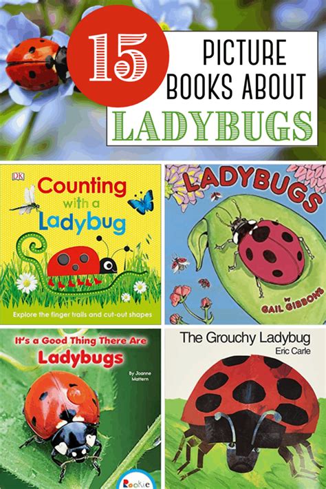 lovely ladybug books  preschoolers