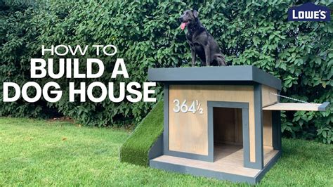 build  dog house home improvement  diy