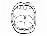 Throat Coloring Tongue Coloringcrew Pages Human Body sketch template