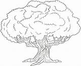Coloring Tree Pages Celtic Life Getcolorings sketch template