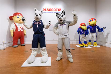 exhibit puts spotlight  sports mascots uconn today