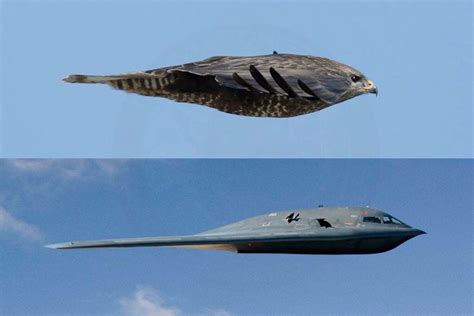 inspiration stealth bomber aircraft fighter jets