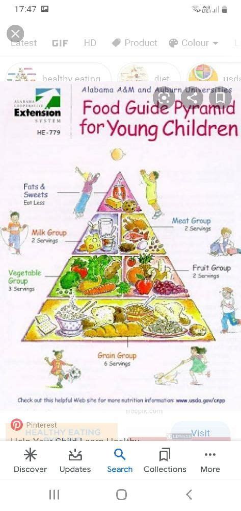 food pyramid  kids