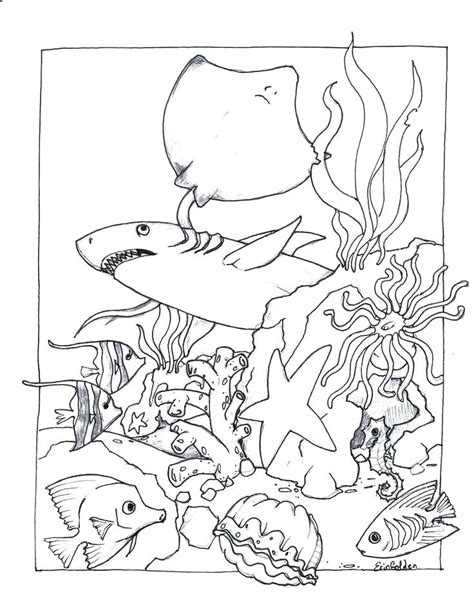 aquarium coloring pages  kids  getcoloringscom  printable