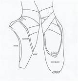 Shoes Ballet Pointe Drawing Shoe Dance Getdrawings sketch template