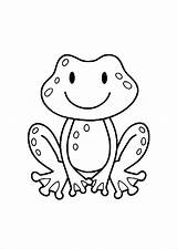 Frogs Grenouille Toad Frog Coloriage Grenouilles Toads Justcolor Coloringbay sketch template