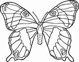 Coloring Pages Butterfly Monarch Butterflies Kids Printable Color Animals Print Clipart Drawing Animal Colorear Para Mariposa Comments Colored Mariposas Adult sketch template