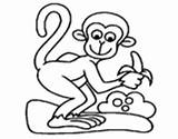 Monkey Singe Gracioso Circo Cirque Coloritou Banane Bananas Coloringcrew Macaco sketch template