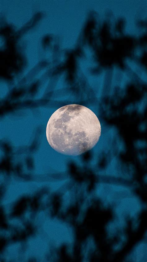 moon amoled fondo de luna moon luna llena grapher luna hd phone