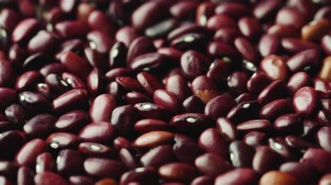 colored beans  cooked stock footage videohive