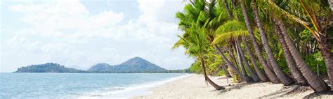 palm cove holiday packages qantas holidays