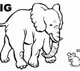 Coloring Pages Opposites Big Small Colouring Getdrawings Getcolorings sketch template
