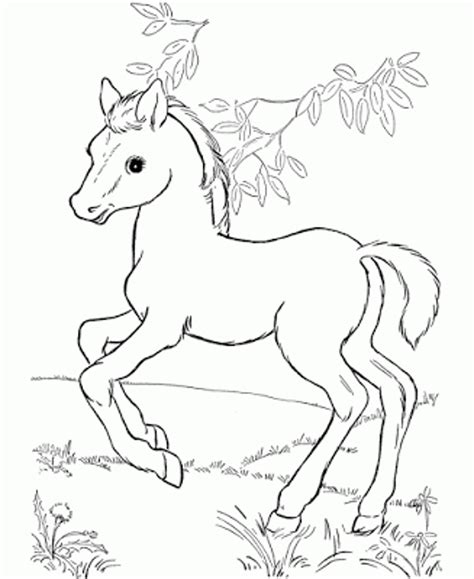 detailed horse coloring pages  getcoloringscom  printable
