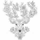 Deer Stag Cerf Ausmalen Ausdrucken Mandalas Reh Erwachsene Ciervo Coloringareas Designkids sketch template