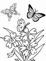 Butterflies Worksheet Blissful Animal Malvorlagen sketch template