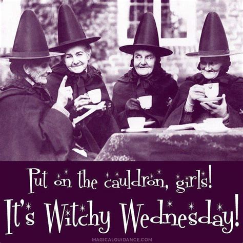 Pin By C J Crandall On Witchy Woman Witchy Witch Witch Humor