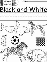 Worksheet Colors Worksheets Color Coloring Gray Drawing Enchantedlearning Only Orca Theme Blackwhite Sheep sketch template